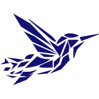 Wise Solutions logo - Similar company to Wise Solutions