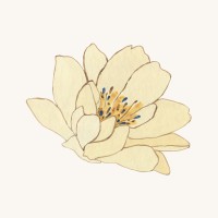 Spring Into Socials logo - Similar company to Springwood Custom Interiors