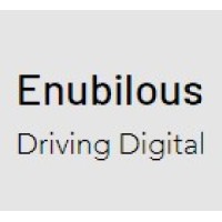 Enubilous Consulting Private Limited logo - Similar company to Megastruck