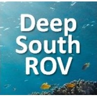 DeepSouth ROV logo - Similar company to Torpedo Rov