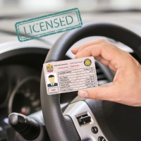 Dubai Driving License logo - Similar company to Dubai Driving Center