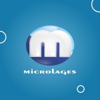Microlages Informática logo - Similar company to Techneo Engenharia Ltda