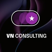 VN Consulting logo - Similar company to Leadmi
