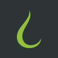 Liquid Shape logo - Similar company to 3Character