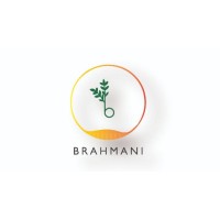 Brahmani Arts logo - Similar company to Chandraom Consulting Group