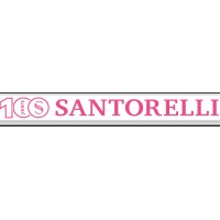 SANTORELLI logo - Similar company to I & D S.R.L.