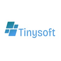 TinySoft logo - Similar company to Hablemos De Gobierno Data & Ai