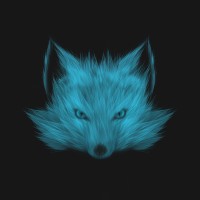 Inari Software logo - Similar company to Geodyn Technology