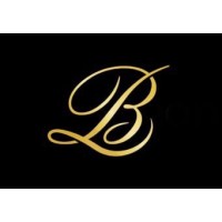 Bonzer Limousine Services logo - Similar company to Diagonal Academy
