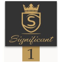 Significant 1 - International Matchmaking Boutique logo - Similar company to Activate