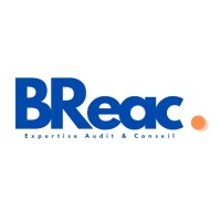 BR Expertise Audit & Conseil logo - Similar company to Ctf Audit