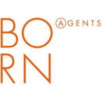 BORN AGENTS SL logo - Similar company to Vm Consulting Limitada
