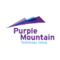 Purple Mountain Technology Group logo - Similar company to Xsystem