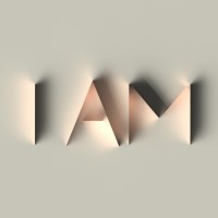 I AM Consulting logo - Similar company to Apis Mobilize