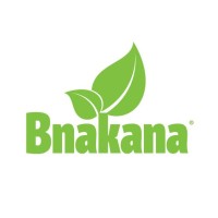 BNAKANA logo - Similar company to Bnakana Group