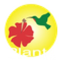 Plants For All Seasons