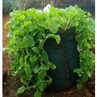 Vertical Sack Farming Kenya logo - Similar company to Vertical Acre