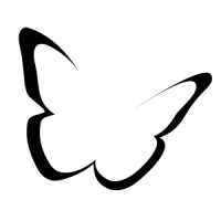 Anamorphics Inc.