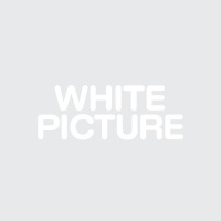 WHITE PICTURE logo - Similar company to /Laik/A Casting