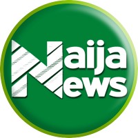 Naija News logo - Similar company to Techcrude