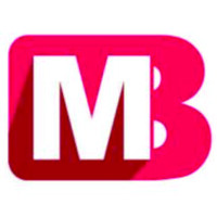 Master Brains logo - Similar company to Produce Magic Software