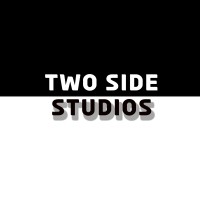 Two Side Studios logo - Similar company to Web Bridges