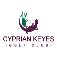 Cyprian Keyes Golf Club logo - Similar company to Wedgelinks