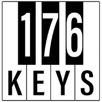 176 Keys Entertainment Inc logo - Similar company to Ilea Canada Affiliate