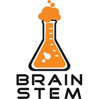 Brain STEM logo - Similar company to Brainstem Limited