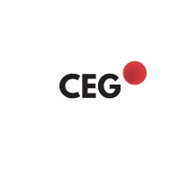 Canadian Energy Group logo - Similar company to Canadian Stimulation Services