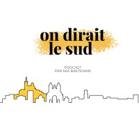 On dirait le Sud Podcast logo - Similar company to Georesources Engineering