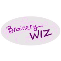 BraineryWiz logo - Similar company to Ceo - Convert Etabs To Opensees