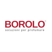 Borolo logo - Similar company to Cdm Systems Srl