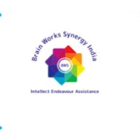 Brain Works Synergy India Private Limited logo - Similar company to Riosoft Technology