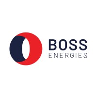 BOSS Energies logo - Similar company to Etanergy