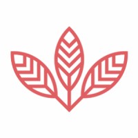 Designbysoap Ltd