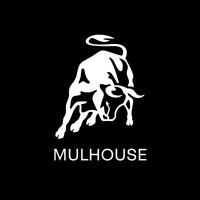 Lamborghini Mulhouse logo - Similar company to Lamborghini Monaco
