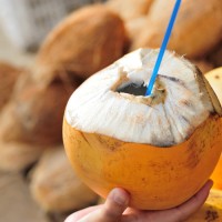 King Coconut Exporters logo - Similar company to The Raw Botanics Co.
