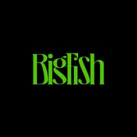 BigFish logo - Similar company to Imox