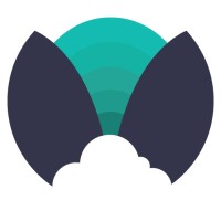 Void Solutions logo - Similar company to Netwellpk