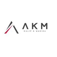 Özanadolu Mold and Machinery logo - Similar company to Me-Ka Plastik Endüstriyel Plastik Kalıp Tasarım İmalat San. Ve Tic. Ltd. Şti.