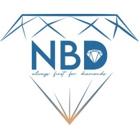 NB DIAMONDS LIMITED logo - Similar company to Shining Diamonds