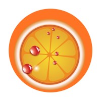 Netorange logo - Similar company to Lava & Cuce Srl