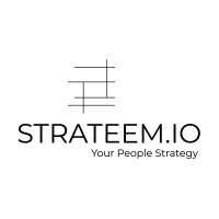 Strateem logo - Similar company to Wj Mudolo Foundation