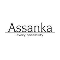Assanka logo - Similar company to Ft Labs