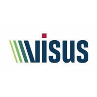 Visus logo - Similar company to Platina Destiny Projetos