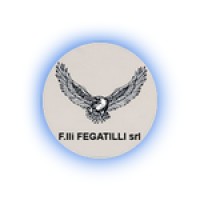 Flli Fegatilli logo - Similar company to Savcar Sas