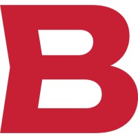 BRAUN Partners GmbH Steuerberatungsgesellschaft Wirtschaftsprüfungsgesellschaft logo - Similar company to Marco Polo Trade Experts