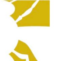 HDM srl logo - Similar company to Chibo S.R.L.