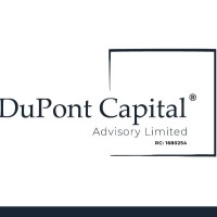 DuPont Capital Advisory Limited logo - Similar company to Starling Capital